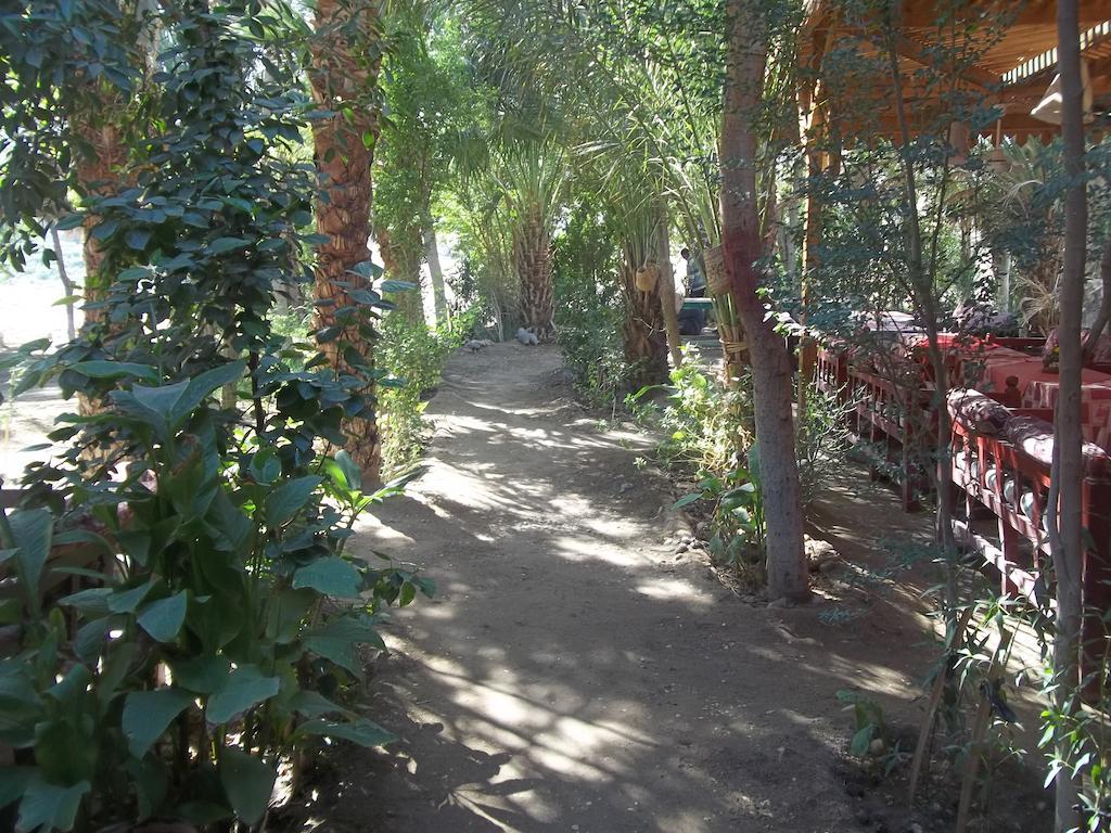 Nour El Gourna Hotel Luxor Exterior photo