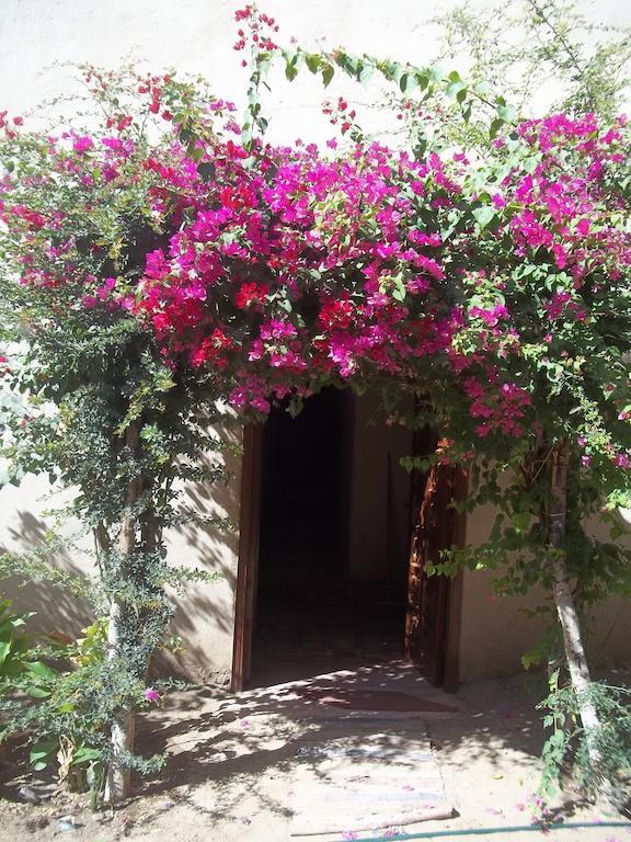 Nour El Gourna Hotel Luxor Exterior photo